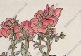 來(lái)楚生國(guó)畫 花開(kāi)見(jiàn)喜 高清大圖下載