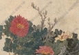 趙之謙作品 牡丹 高清大圖下載