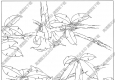 曼陀羅白描線稿13高清圖片下載