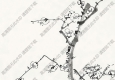 湯定之國(guó)畫(huà) 三君子圖 高清大圖下載