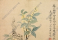 清 惲壽平《花卉-桂花》國(guó)畫(huà)高清大圖下載