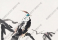 李瓊久國(guó)畫(huà) 杜鵑白鷴 高清大圖下載