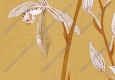 清 惲壽平《九蘭圖》國(guó)畫(huà)高清大圖下載