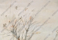 高劍父作品 落霞孤鶩圖 高清大圖下載