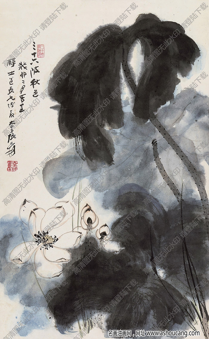 張大千作品_荷花_三十六陂秋色_癸卯二月_高清大圖下載