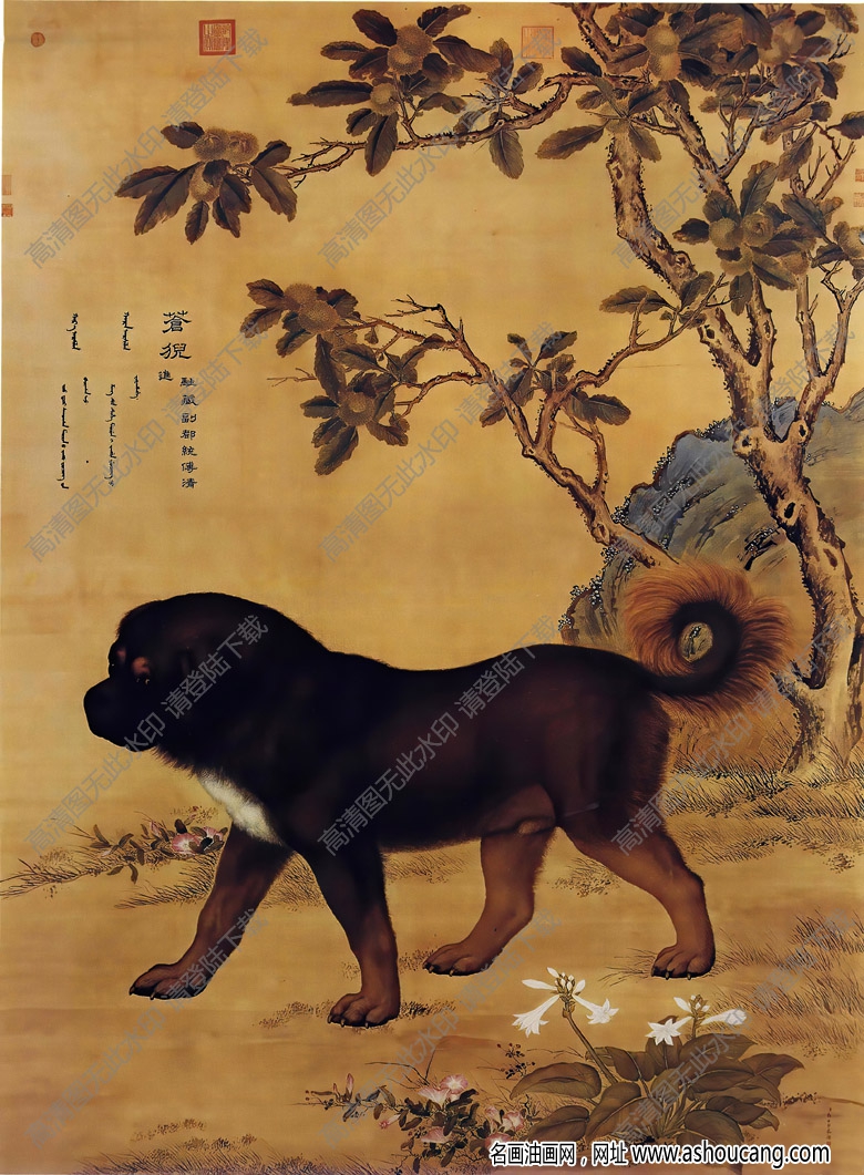 郎世寧 十駿犬圖4-蒼猊 高清名畫(huà)下載